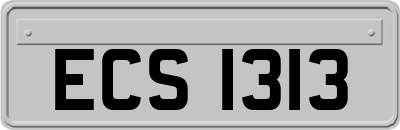 ECS1313