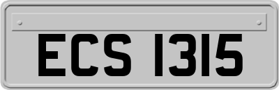 ECS1315