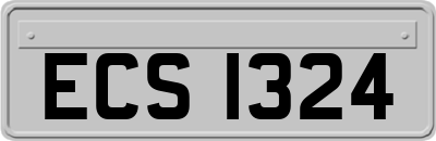 ECS1324