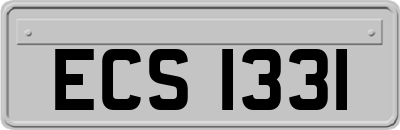 ECS1331