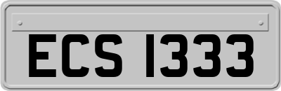 ECS1333