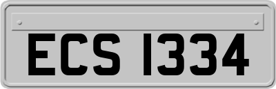 ECS1334