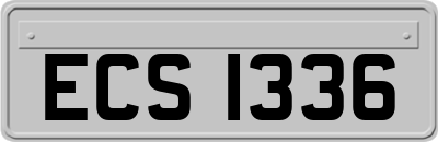 ECS1336