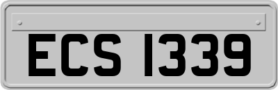 ECS1339