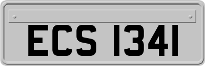 ECS1341