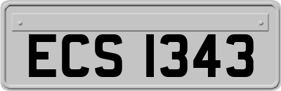 ECS1343