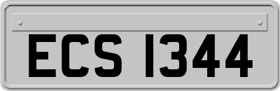ECS1344