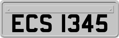 ECS1345