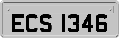 ECS1346