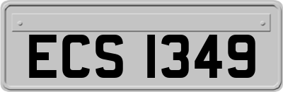 ECS1349