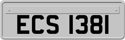 ECS1381