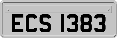 ECS1383