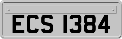 ECS1384