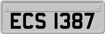 ECS1387