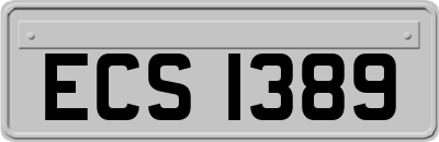 ECS1389