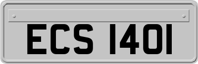 ECS1401
