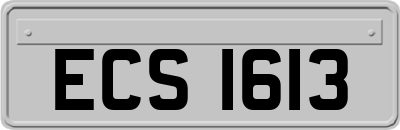 ECS1613