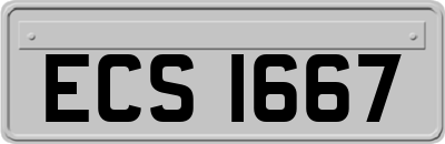ECS1667
