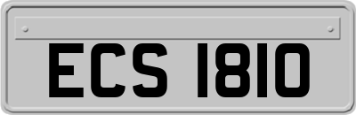 ECS1810
