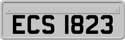 ECS1823