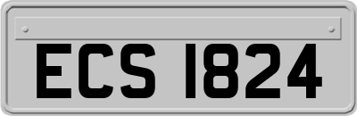 ECS1824