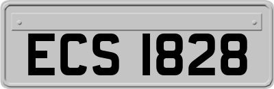 ECS1828