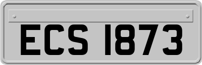 ECS1873