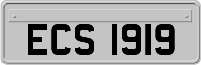 ECS1919