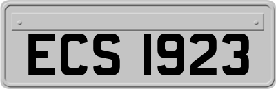 ECS1923