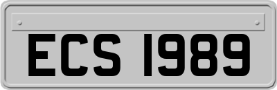 ECS1989