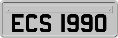 ECS1990