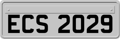 ECS2029