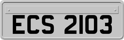 ECS2103