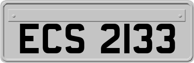 ECS2133