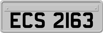 ECS2163