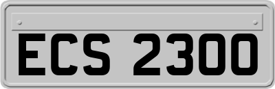 ECS2300