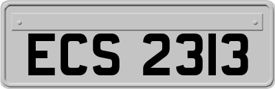 ECS2313