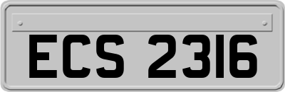 ECS2316