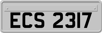 ECS2317