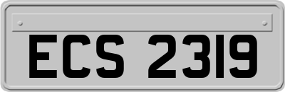 ECS2319