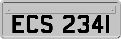 ECS2341