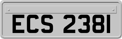 ECS2381