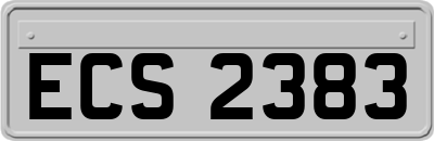 ECS2383
