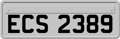 ECS2389