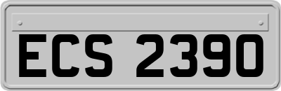 ECS2390
