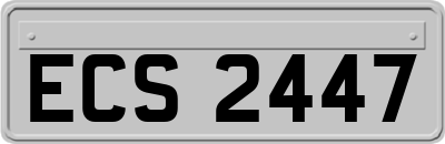 ECS2447