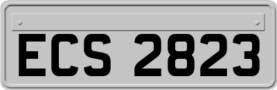 ECS2823