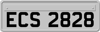 ECS2828
