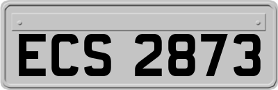 ECS2873