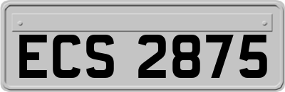 ECS2875